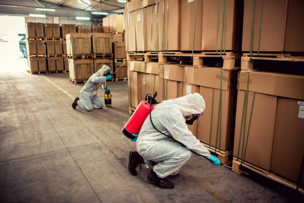 Best Pest Prevention Services  in Bent Creek, NC