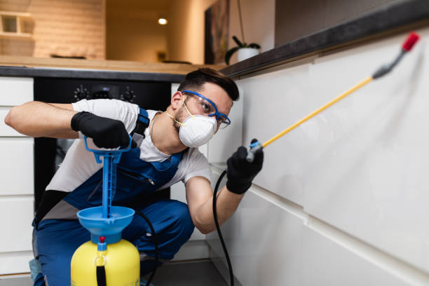 Best Pest Control for Homes  in Bent Creek, NC