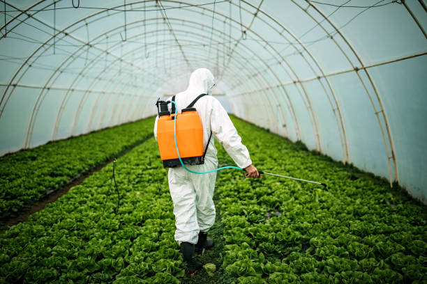 Best Best Pest Control Companies  in Bent Creek, NC