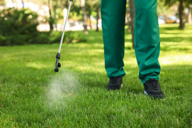 Best Ant Control Services  in Bent Creek, NC