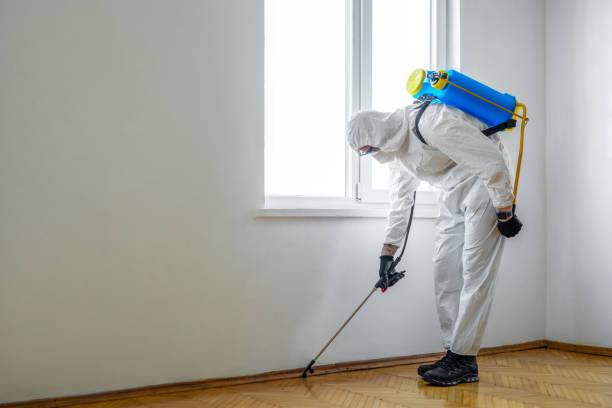 Best Emergency Pest Control  in Bent Creek, NC