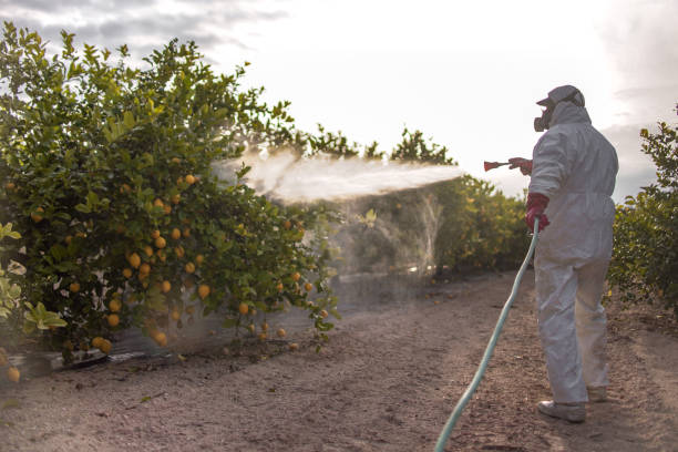 Best Commercial Pest Control Services  in Bent Creek, NC