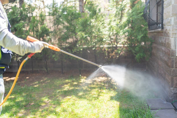 Best Rat Extermination Near Me  in Bent Creek, NC