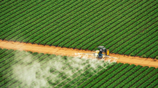 Best Mosquito Control Services  in Bent Creek, NC