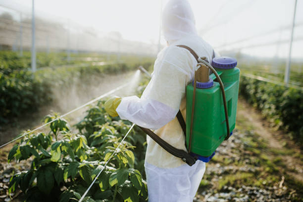Best Affordable Pest Control Services  in Bent Creek, NC